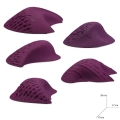 PERSEIDES