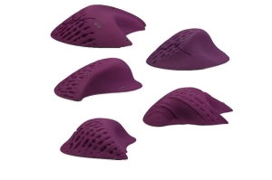 PERSEIDES -  Fiction Holds