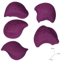 PERSEIDES